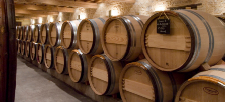 Weinfässer im Keller des Château Canon la Gaffelière