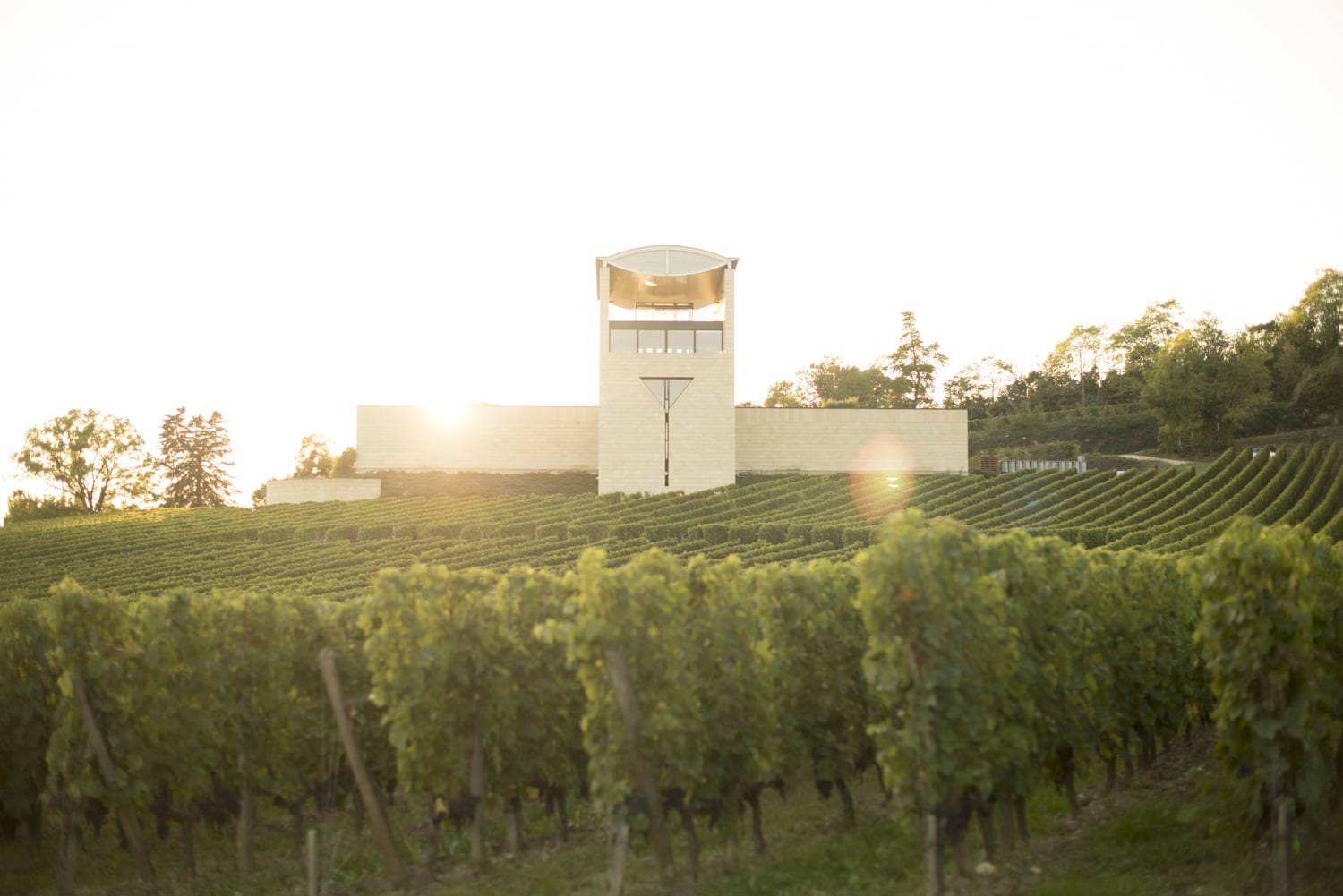 Das Weingut Château Faugères in St. Emilion