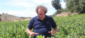 Bertrand Sourdais mit seinen Reben