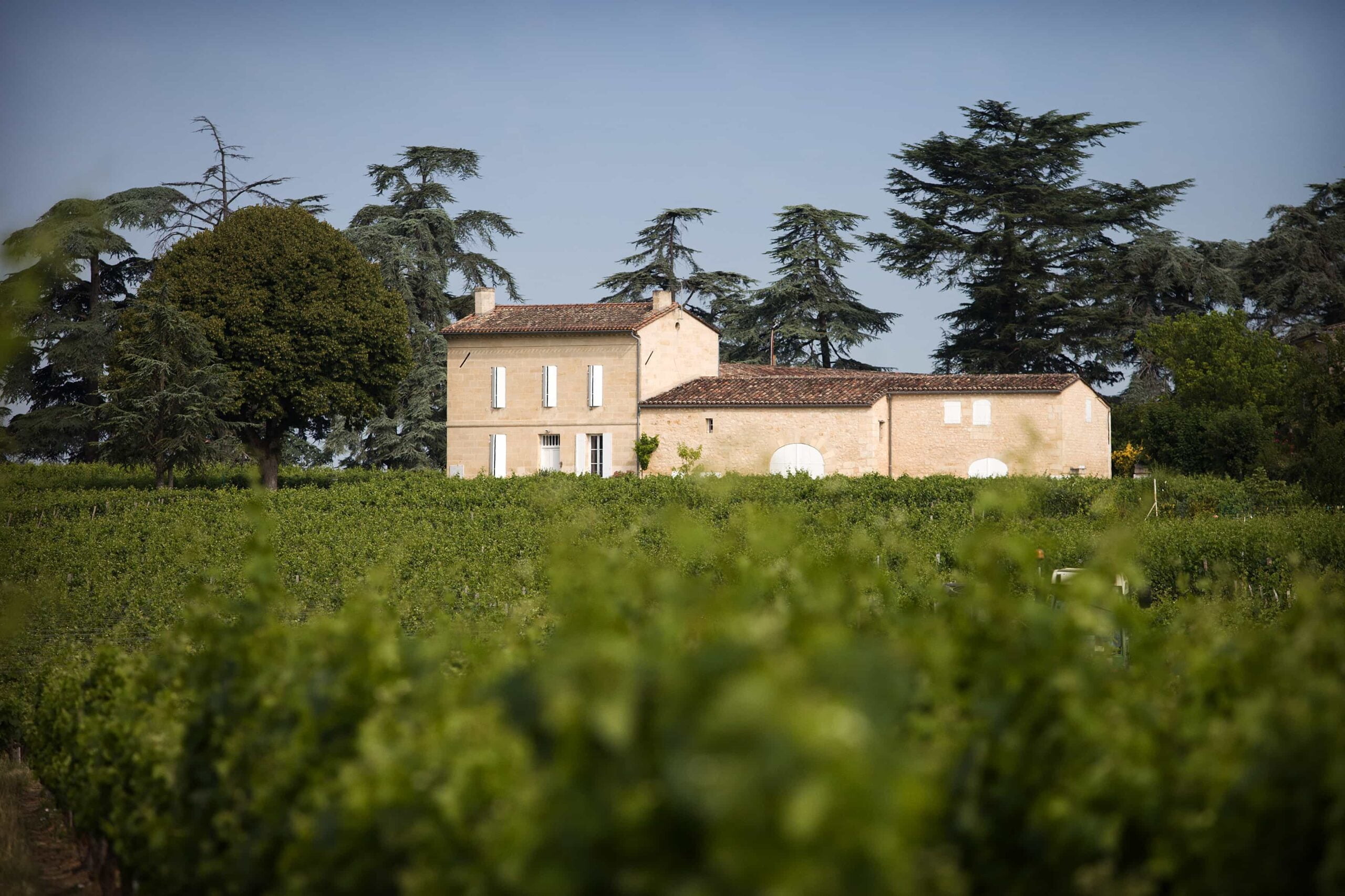 Fernaufnahme des Château Rocheyron