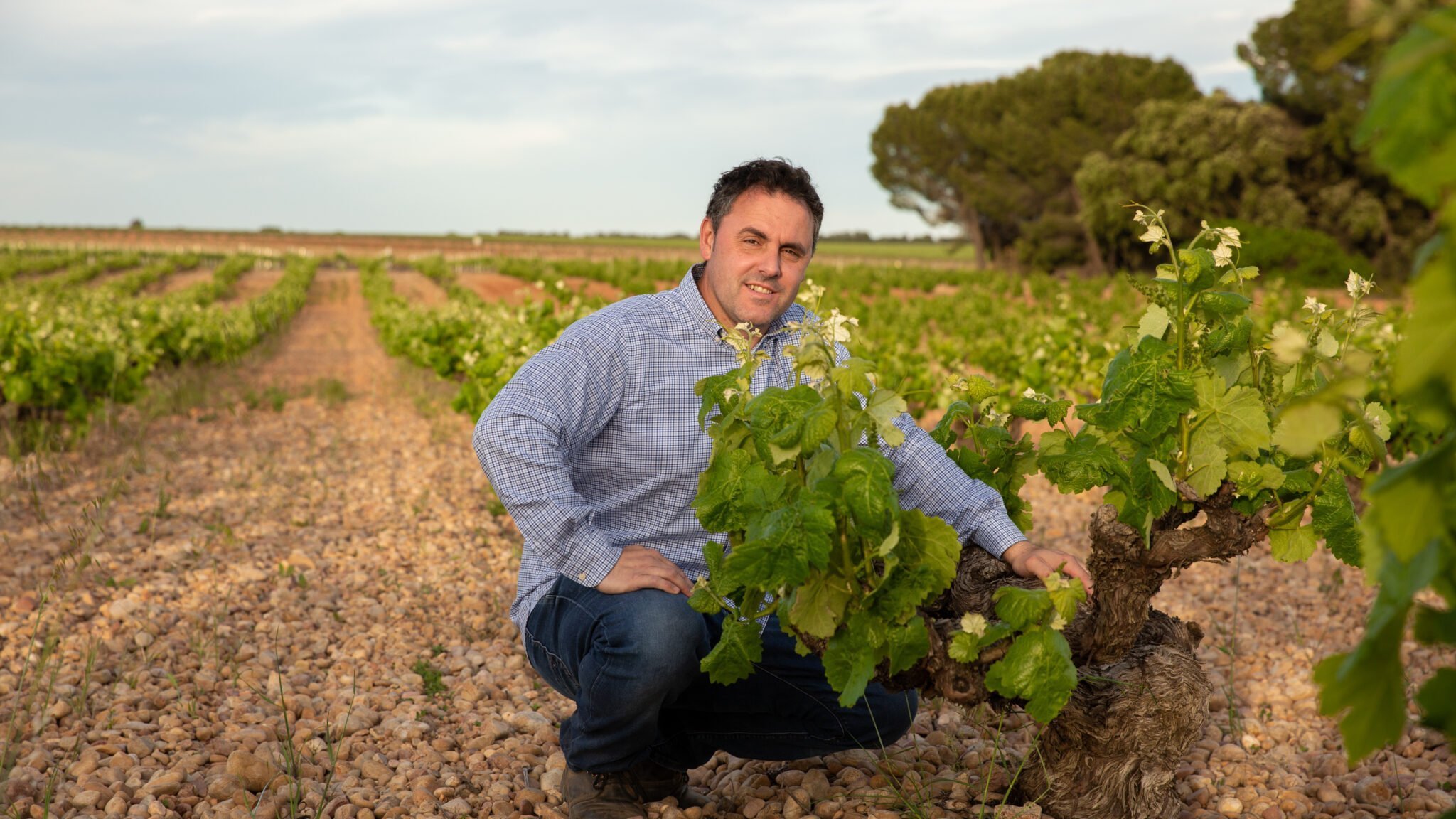 Aurelio_Alto Horizonte