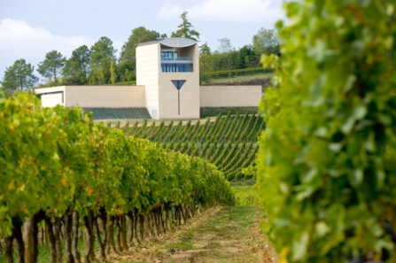 Château_Faugères-Chai
