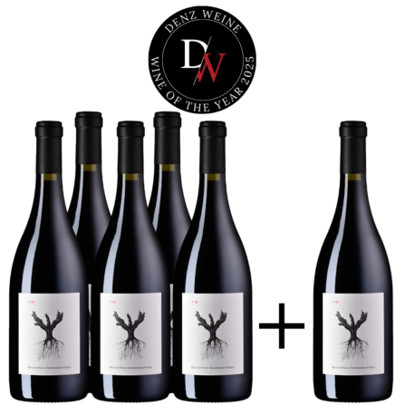 Wine of the Year 2025 – PSI 2022 - 5 plus 1 Aktion